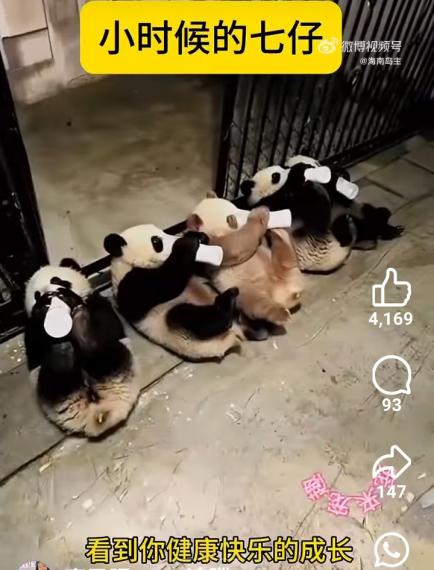 1000007207
