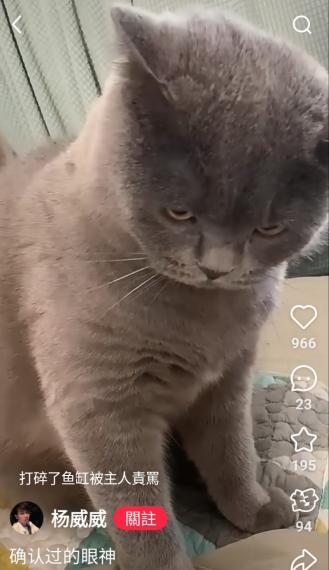 1000007250
