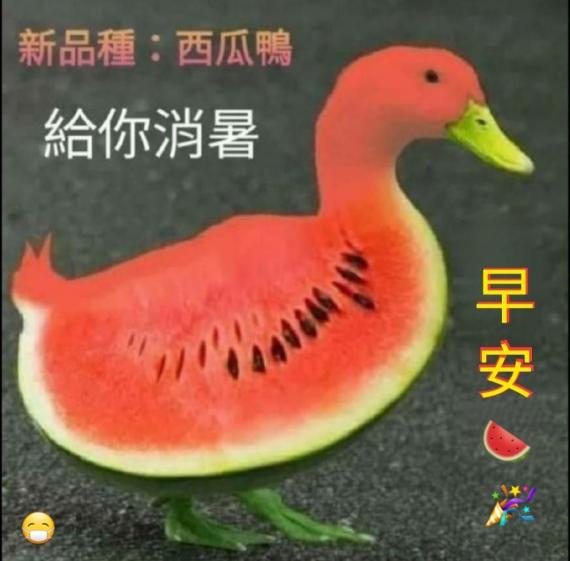 120953