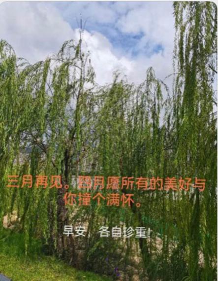 1400CD86-F4CF-4EA8-BC65-510D4C73CCA8-13182-000007F77BD430F0