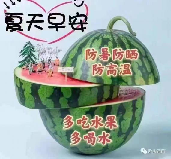 25362