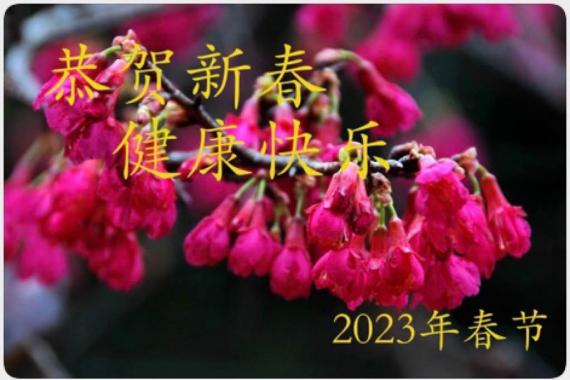 3C088157-5EFD-4BD9-BB0F-5E1859150E0F-15026-0000058F27446880