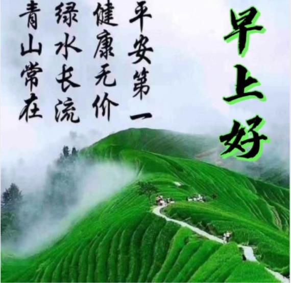 3F10D482-5107-4636-A309-BE2124AC8EBC-520-0000006E438DC206