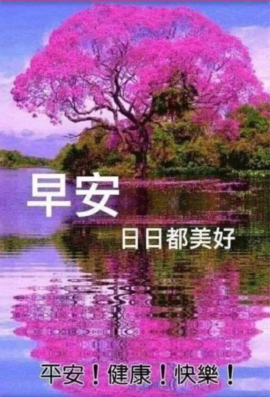 825D9037-5659-4F65-A6B1-3BB1E8E45487-768-000001664448C3AA