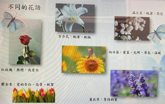 82E4B8DF-31CD-4A85-9FAB-AC8FBEA5DF60-1475-0000007EFB8279F4