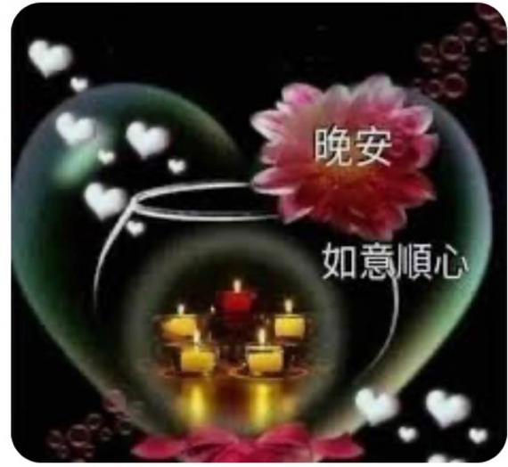 8F4A3D40-FB51-4A3F-9A90-3E97083943CD-14005-0000056D0518FF80