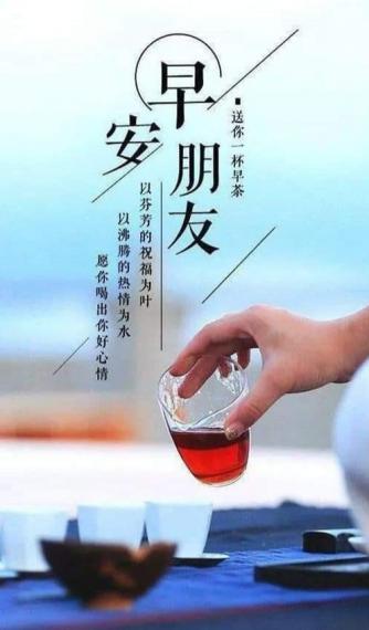 9456