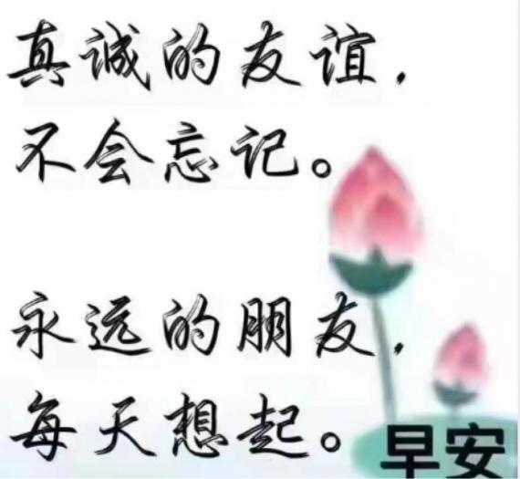 BF7E2DD8-8440-4CB4-B84E-9BF967FA6F82-18474-000002E874CB991A