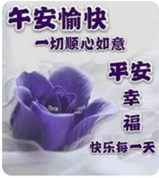 CADF252E-DB7C-4900-ACF0-4F2995398D8C-13926-00000508813B373A