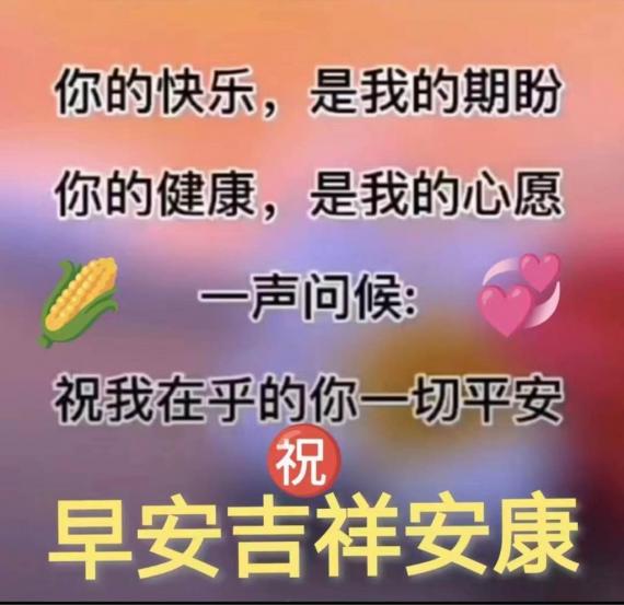 E9D2A1A6-4B69-4103-A667-AEB61B1F5617-13511-000005141FC37883