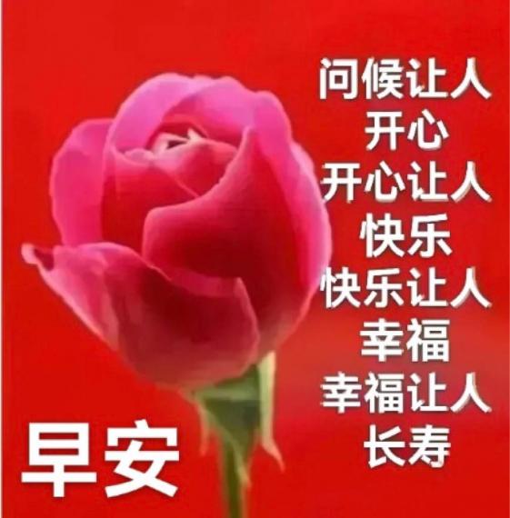 F8B98F47-B42D-4AC5-8AC4-B4822ABABE62-16924-0000084EA8A5D177