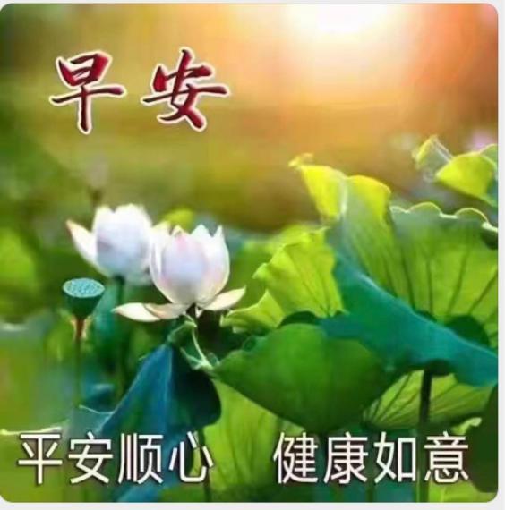 FA224844-54CA-44D6-B43C-9AA6B4657879-12601-00000781A3962170