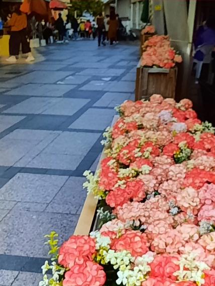 image%3A1000002671
