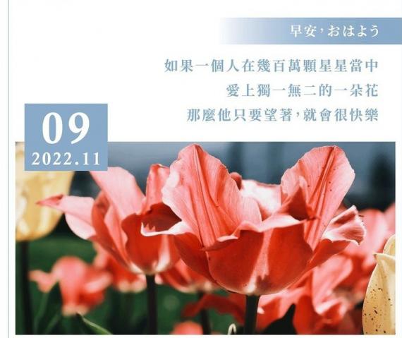 image%3A1000005027