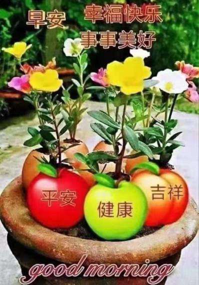 image%3A1000005164