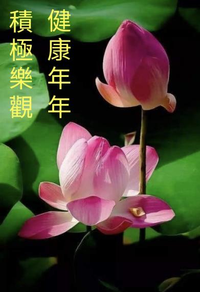 image%3A1000006733