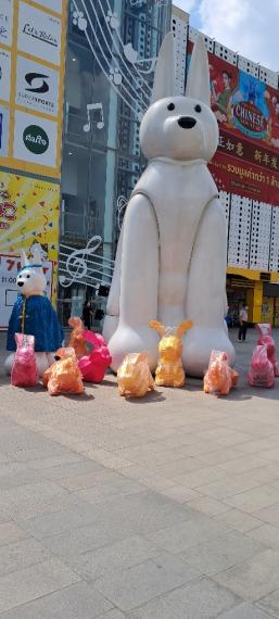 image%3A1000009495