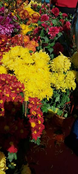 image%3A1000010594_10