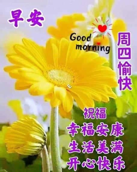image%3A1000012602