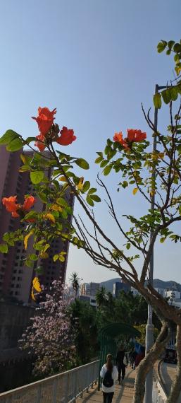 image%3A1000012987