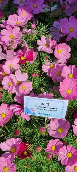 image%3A1000013177