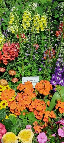 image%3A1000013197