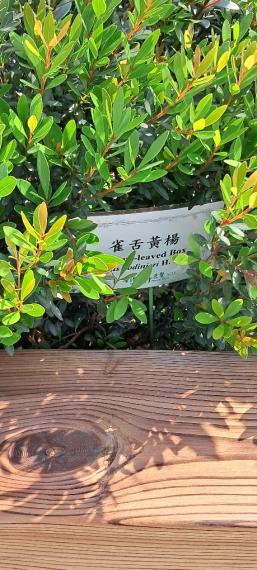 image%3A1000013201