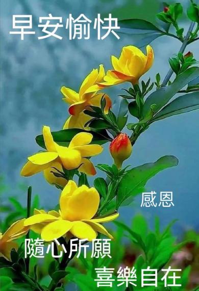 image%3A1000015966_0