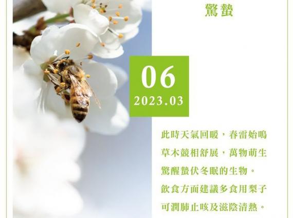 image%3A1000018153