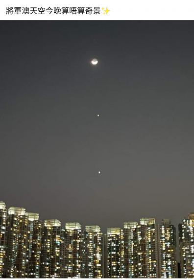 image%3A1000019299