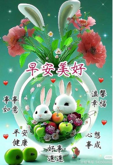 image%3A1000023564