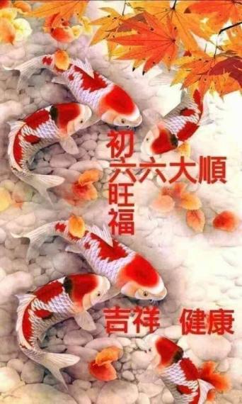 image%3A1000028762