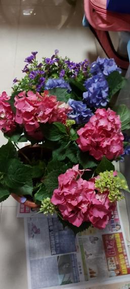 image%3A1000040533
