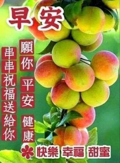 image%3A100344
