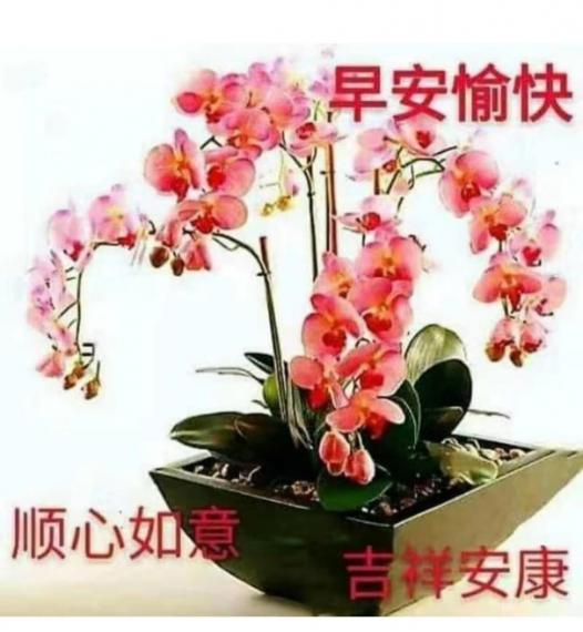 image%3A100690