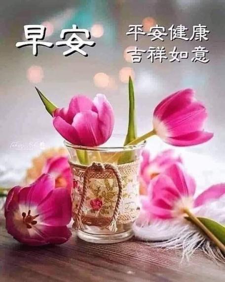 image%3A101418