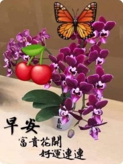 image%3A103273