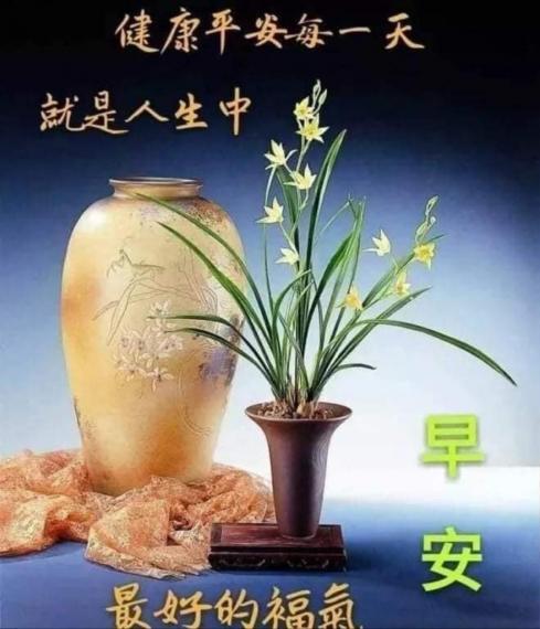 image%3A103413
