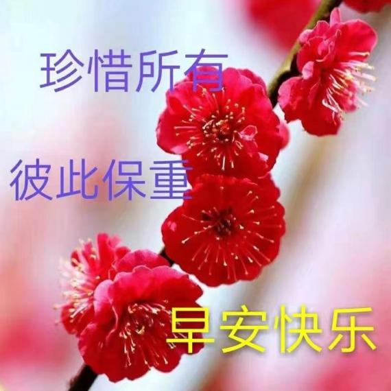 image%3A104674