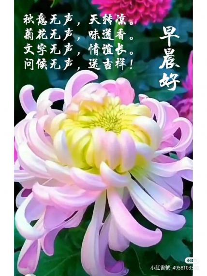 image%3A105992