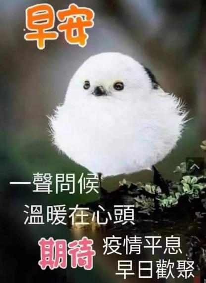 image%3A106541