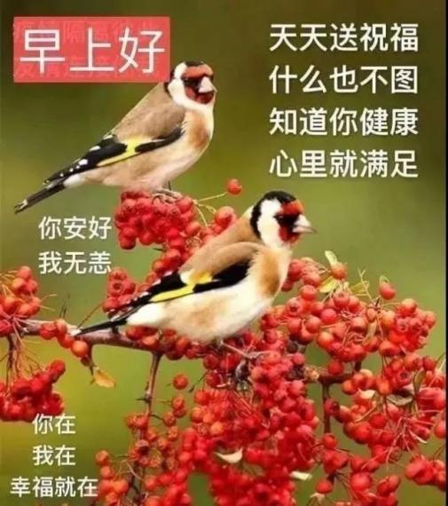 image%3A115413
