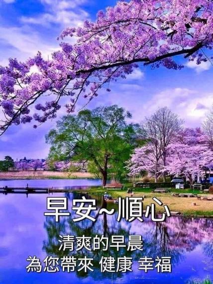 image%3A115876