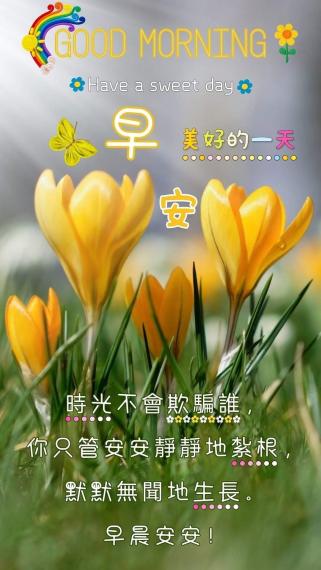 image%3A115944