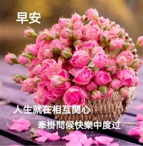 image%3A116134