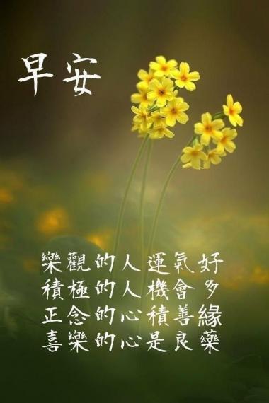 image%3A117839