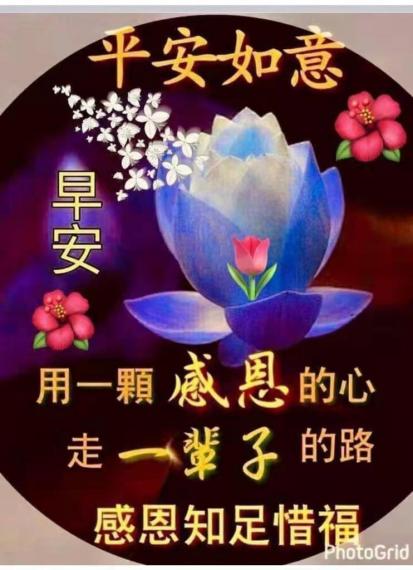image%3A119705