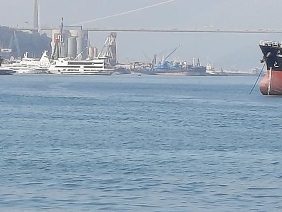 image%3A28327_0