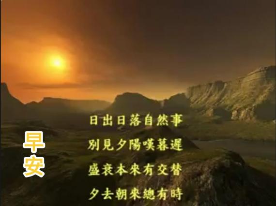 image%3A36229