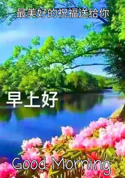 image%3A36579